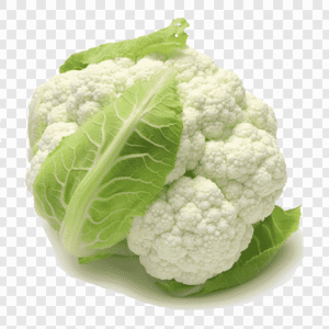 CAULI