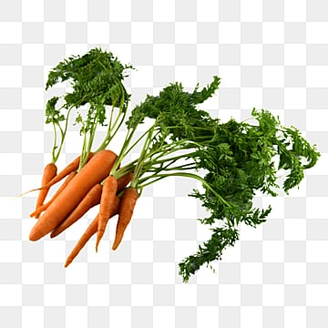 LEAFY CARROTS