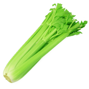 CELERY