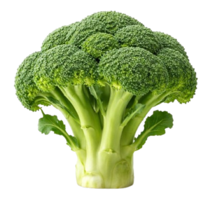 BROCCOLI