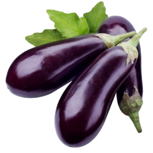 AUBERGINE