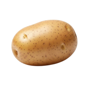 CYPRUS POTATO