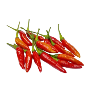 RED CHILLI