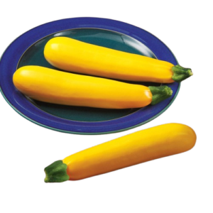 YELLOW COURGETTE