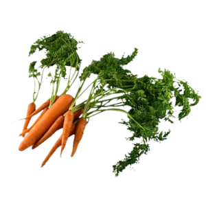 LEAFY CARROTS