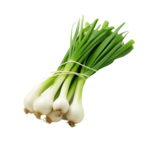 SPRING ONIONS