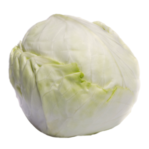 WHITE CABBAGE