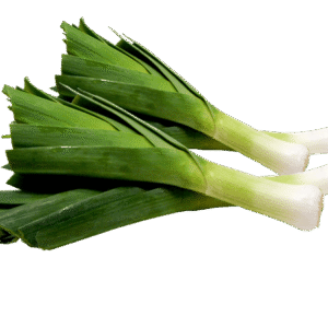 LEEKS
