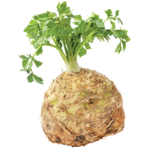 Celeriac